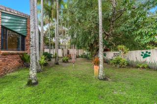 Bromeliads - Iluka - 6
