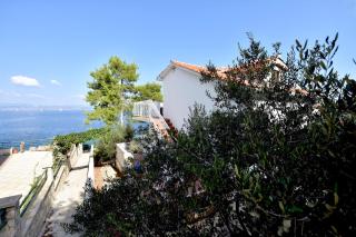 Apartments by the sea Rogac, Solta - 16223 - Grohote - 4