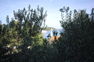 Apartment Vis 2470b - Vis - 0