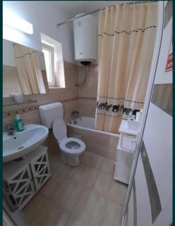 Casa Teonia - Tăşnad - 3