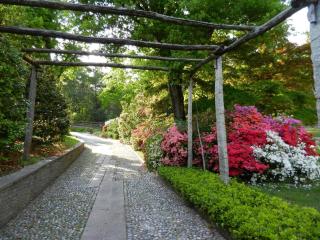 B&B Il Picchio - 4