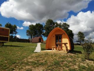 Les Roulottes de la Ferme des Chanaux - Saint-Julien-dʼAnce - 8