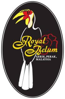 Royal Belum Mystical - Gerik - 1