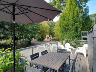 Bord de lac - 4/6pers SAUNA - terrasse 20m2 - Vielsalm - 9