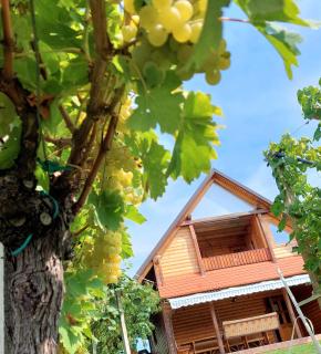 APARTMA-SPA NATURA - Sveti Jurij ob Ščavnici - 6