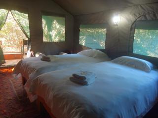 The Old Trading Post - Wilderness - 9