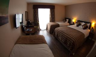 George Limerick Hotel - Limerick - 3