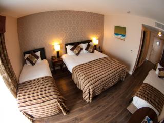 George Limerick Hotel - Limerick - 2