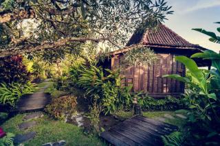 Dragonfly Village - Ubud - 5