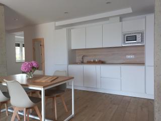 Apartamentos Pico de Langre - Langre - 3