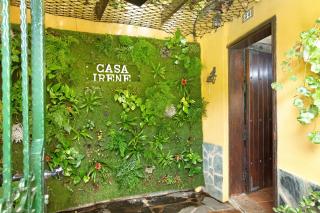 Casa Irene - Teror - 5