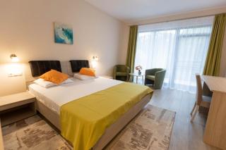 Hotel Nicoleta - Baile Felix - 7