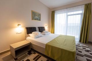 Hotel Nicoleta - Baile Felix - 1