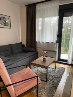 Apartman Istra_28 Titova Vila - Zlatibor - 6