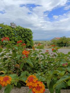 Agriturismo - B&B "La Funicolare" - Francavilla Marittima - 2