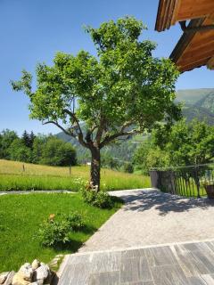 Langrieshof - Rauris - 4