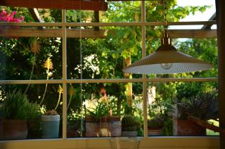 Casa Magnolia - Terricciola - 3