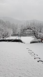 La maison et l'étang de pêche - 6