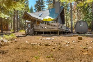 Cabin in the Woods - Tahoma - 8