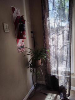 Loft Rufino - Mendoza - 7