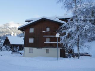 Cocooning apartment- 2 personnes - FR-1-198-221 - Châtel - 9