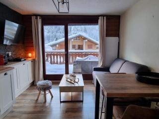 Moderne appart. 4 pers. avec terrasse plein sud, proche télécabine du Linga - équipements inclus - FR-1-198-222 - Châtel - 0