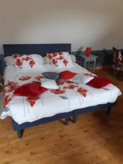 Les Coquelicots - Saint-Urbain - 9