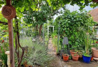 Neugärten - Busenberg - 8