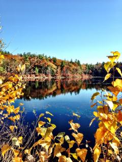 The Villages at Ocean Edge Resort & Golf Club - Brewster - 1