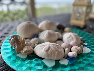 Private Oceanfront Escape: Kayaks, Sunsets, Coral! -  - 7