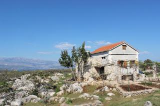 Family friendly house with a swimming pool Skrip, Brac - 15297 - 8