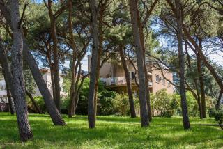 Apartments and rooms by the sea Split - 15298 - Split - 0