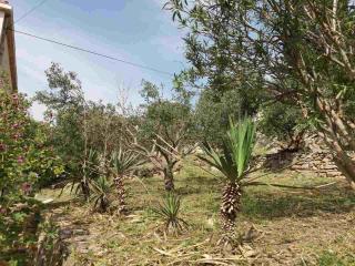 Apartments by the sea Hvar - 15401 - 2