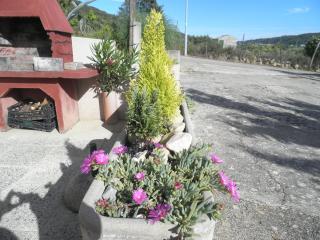 Apartments with parking space Supetarska Draga - Donja, Rab - 15423 - Rab - 4