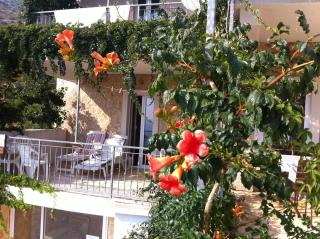 Apartments with a parking space Ivan Dolac, Hvar - 15483 - 3