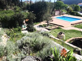 Family friendly apartments with a swimming pool Kampor, Rab - 15518 - Rab - 2