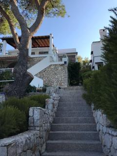 Apartments by the sea Kaprije - 15567 - 6