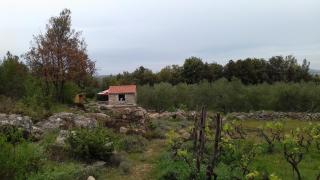 Secluded holiday house Pasman - 15649 - Pašman - 5