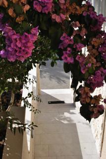 Apartments by the sea Brna, Korcula - 15730 - Smokvica - 3