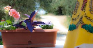 Apartment Podaca 15748c - 5