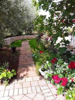 Apartments with a parking space Sosi, Umag - 15967 - 3