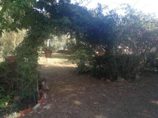 Apartments with a parking space Sosi, Umag - 16184 - Umag - 6