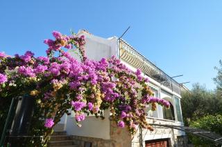 Apartments with a parking space Mavarstica, Ciovo - 16215 - Trogir - 0