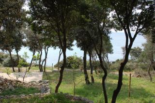 Apartments by the sea Cove Mulobedanj, Pag - 16285 - Lun - 4
