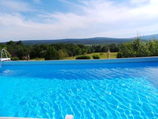 Family friendly apartments with a swimming pool Cepic, Central Istria - Sredisnja Istra - 15878 - 4