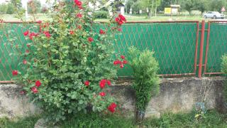 Apartments with a parking space Covici, Velebit - 15864 - 6