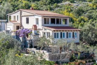 Apartments by the sea Cove Donja Kruscica - Donja Krusica, Solta - 15636 - Grohote - 0