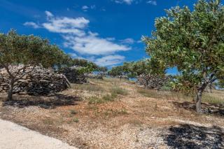 Secluded holiday house Cove Vela Lozna, Brac - 16179 - 3