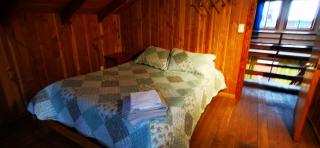 Cabaña Pudomo en Coñaripe con Hot-tub exclusivo - 1