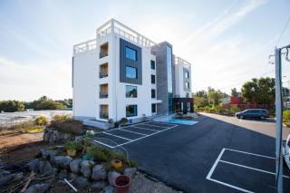 Fellisia Hotel - Seogwipo - 5